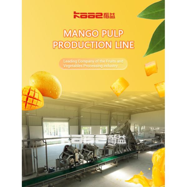 Automatic Mango Juice Production Line SS304 All Fruit Juice Making Machine