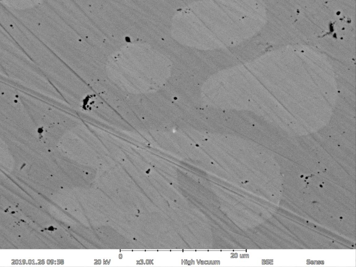 Magnification Max 150000X Scanning Electron Microscope 5nm Resolution EDS BSE