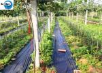 PP Woven Weed Barrier Control Sulzer Weed Mat Ground Black Cover Fabric in
