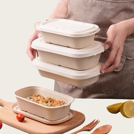 Food Safe 850ml Pulp Lunch Box Compostable Take Out Containers In Restaurante