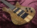 2018 new style high quality custom 5 string bass guitar, Rosewood fingerboard
