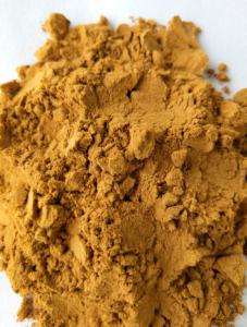 Wholesale Chinese Herb Polygonum Multiflorum He Shou Wu Foti Root Extract 10% powder from china suppliers