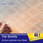 PLASTIC LENTICULAR fly eye 3d lenticular material for led light diffuser films