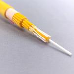 Indoor LSZH Aramid Yarn Strength G652D Fiber Optic Cable GJPFJH 4 6 8 12 24 48