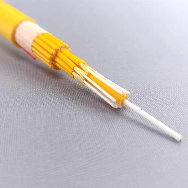 Indoor LSZH Aramid Yarn Strength G652D Fiber Optic Cable GJPFJH 4 6 8 12 24 48