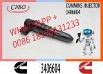 3064881 3406604 for Cummins M11 Diesel Engine Fuel Injector 3064881 3406604