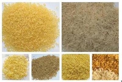 Industrial Nutritional Artificial Rice Production Line 300KG/H Capacity