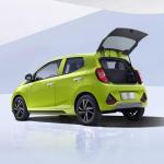 Big Capacity Small Electric Car EV2 Support Household Electricity Charging