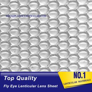 Wholesale PLASTIC LENTICULAR high quality one sided dots 360 3d fly eye lens sheet dot lenticular sheet from china suppliers