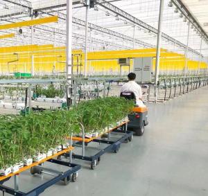 Wholesale Single or Multi Span Juxiang Dual-Layer Film Greenhouse for Flower Production Green from china suppliers
