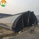Mushroom Growing Farm Greenhouse Design featuring PE Film Cover Material