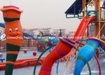 Spray Water Game For Kids , Cartoon Style Fiberglass Aqua Park Equipment For