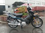 2022 Hongli New 125CC forza max 110cc cub motorcycle super cub motorcycle cub