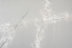 Anti Depigment Interior Decorative Floor 6 MM Artificial Quartz Stone
