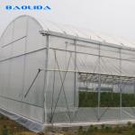 Plastic Transparent Multi Span Greenhouse Agriculture Side Window Support