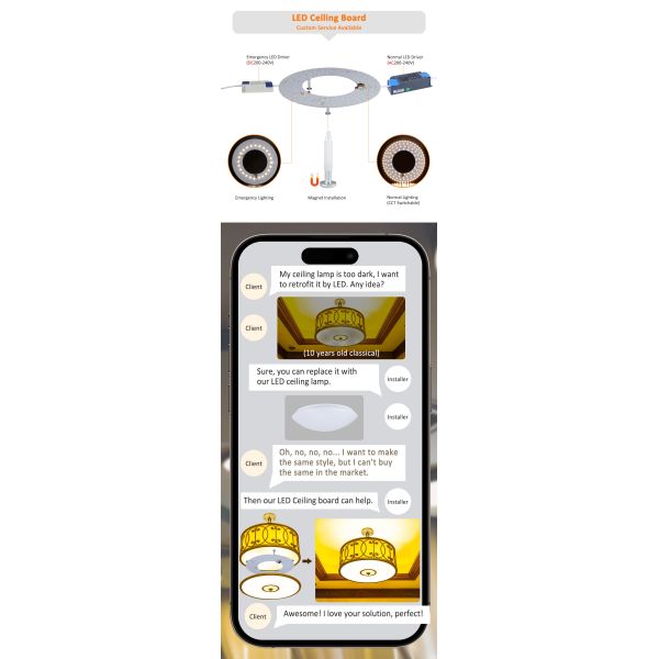 Customized Dimmable LED Ceiling Lamp Energy Saving 100V-220V