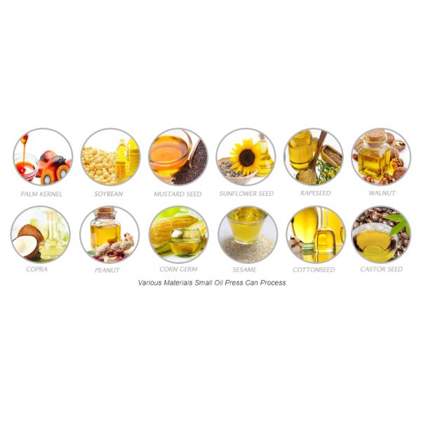 High Capacity Screw Oil Press Machine Soybean Oil Machine Stable Performance