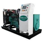 Natural Gas Biomass Biogas LPG Gas Electric Generator 150 Kw with Cup Boiler CE