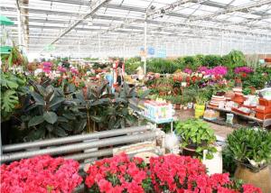 Wholesale Single Span Ecological Greenhouse , Large Glass Greenhouse Aluminium / Steel Metal Type from china suppliers