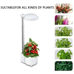 Wholesale 5w DC24V Full Spectrum Grow Light AC90-240V Water Indicator Hydroponic from china suppliers