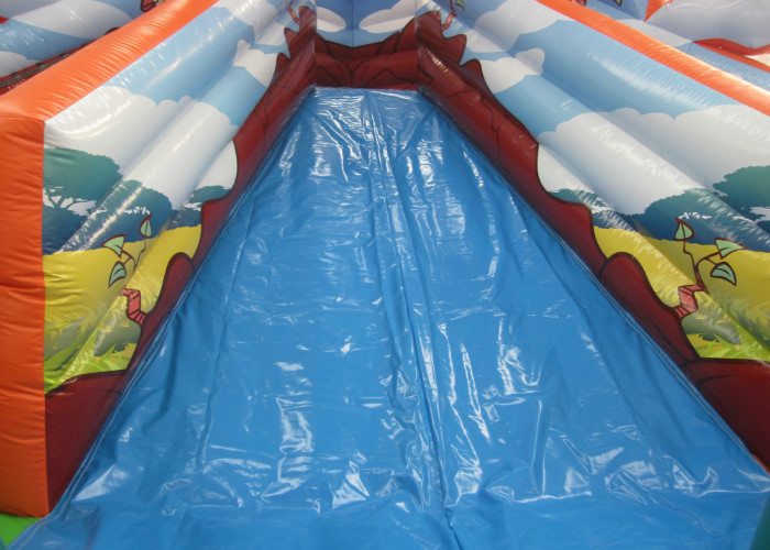 Colourful Digital Printing Toddler Bounce House , Geological Park Bounce Round Bounce House