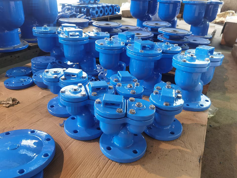 DIN BS Double Orifice Air Valve Air Inlet Relief Valve GGG40