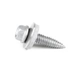 Stainless Steel Ruspert Hex Head EPDM Washer Drywall Screw Self Tapping Roof