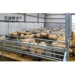 ISO9001 2008/CE/BV Certified Prefabricated Cowshed for Poultry Sheep Goat and