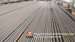 ASTM A789 UNS S32250 Duplex Stainless Steel Seamless Tube For Water Treatment