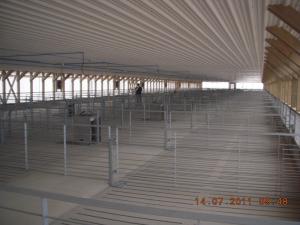 Wholesale Hot Galvanied Steel Pig Farming Equipment , Pig Sow Stalls For Fattening Hog from china suppliers