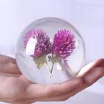 Real dandelion in Clear resin ball flower resin ball ornament