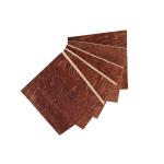 Concrete Building Formwork Plywood Sheets , Outdoor Smooth Faced Plywood