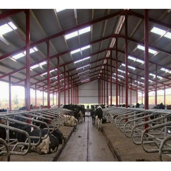 Steel Structure Prefab Poultry House Wind Resistant Pre Engineered Steel Cowshed
