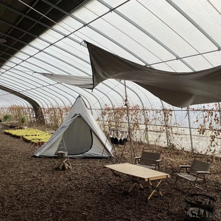 Flower Planting Drip Irrigation Vegetable Sunlight Greenhouse