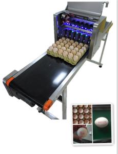 Wholesale Intelligent Automatic Inkjet Marking Machine For 30 Holes Entire Pallet Eggs from china suppliers