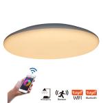 Motion Activated LED Ceiling Lights