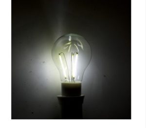 3W A55 E27decorative led filament bulb white