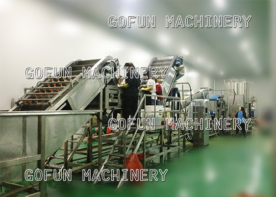 Automatic Sauce Ketchup Tomato Processing Line Cold Crushed
