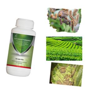 Wholesale Biological Tea Tree Insecticide EoNPV Farming Pesticides Nuclear Polyhedrosis Virus from china suppliers