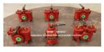 Fuel Oil Pump Suction Duplex Oil Strainer Model:AS50-0.75/0.26 Cb/T425-94 duplex