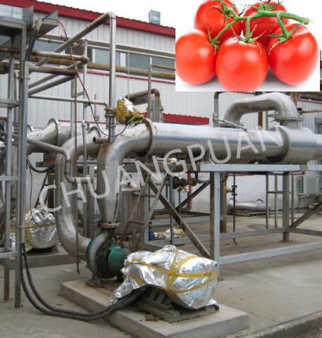 10g Plastic Bag Tomato Paste Production Line PLC Controlled