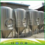 300L commercial brewery equipment for sale for pub brewing