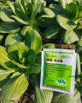 Agricultural Pests SeNPV Biological Insecticide Pesticides For Cabbage Worms