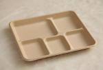 5 compartments Biodegradable Straw pulp food containers paper food trays
