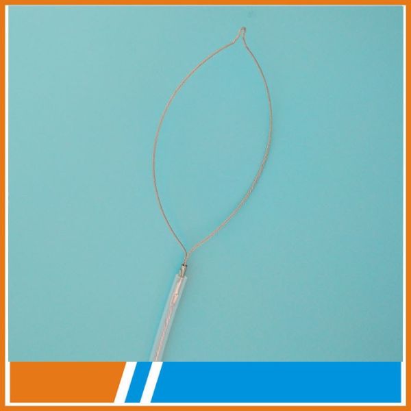 Single use Polypectomy Snares of endocopic instruments