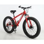 Customizable Fat Tyre Cycle Bicycle for Beach Cruising and Snow Mountain Riding