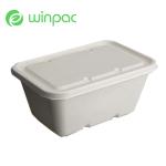 1000ml Sugarcane Bagasse Box Food Box With Lid Disposable Compostable