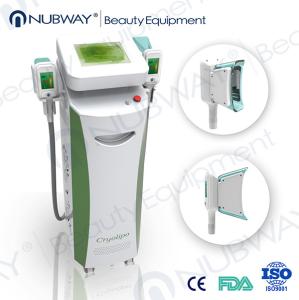 Wholesale Big handle size 3d cryolipolysis equipment cryolipolysis cool shaping machine from china suppliers