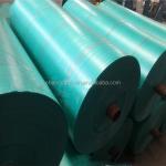 UV Protected Plastic Fabric Sheet for Agriculture/Industrial Cover in Standard