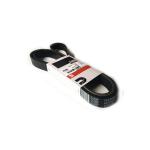 QSL9 QSC8.3 Auto engine Belt 8PK2205 3972377